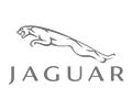 Jaguar Logo